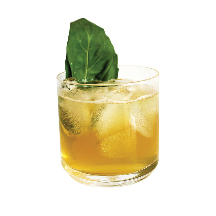 1pt Ginger Infusion Blend Trade Pack