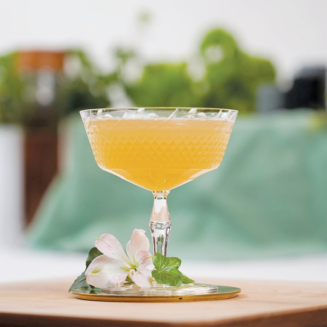 Garden Gimlet Cocktail Pack
