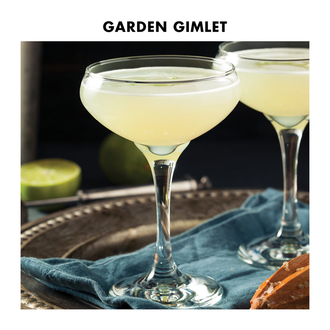 1pt Gin Lover Kit