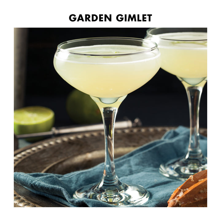 1pt Gin Lover Kit