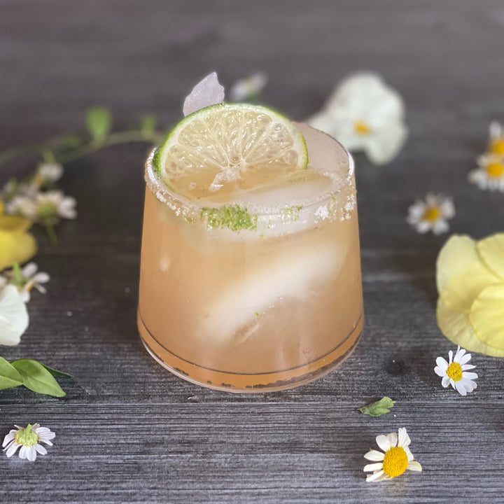 1pt Baja Margarita Cocktail