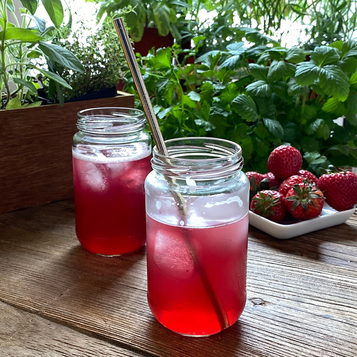 1pt Cocktail Infusion Pack | Minted Martha